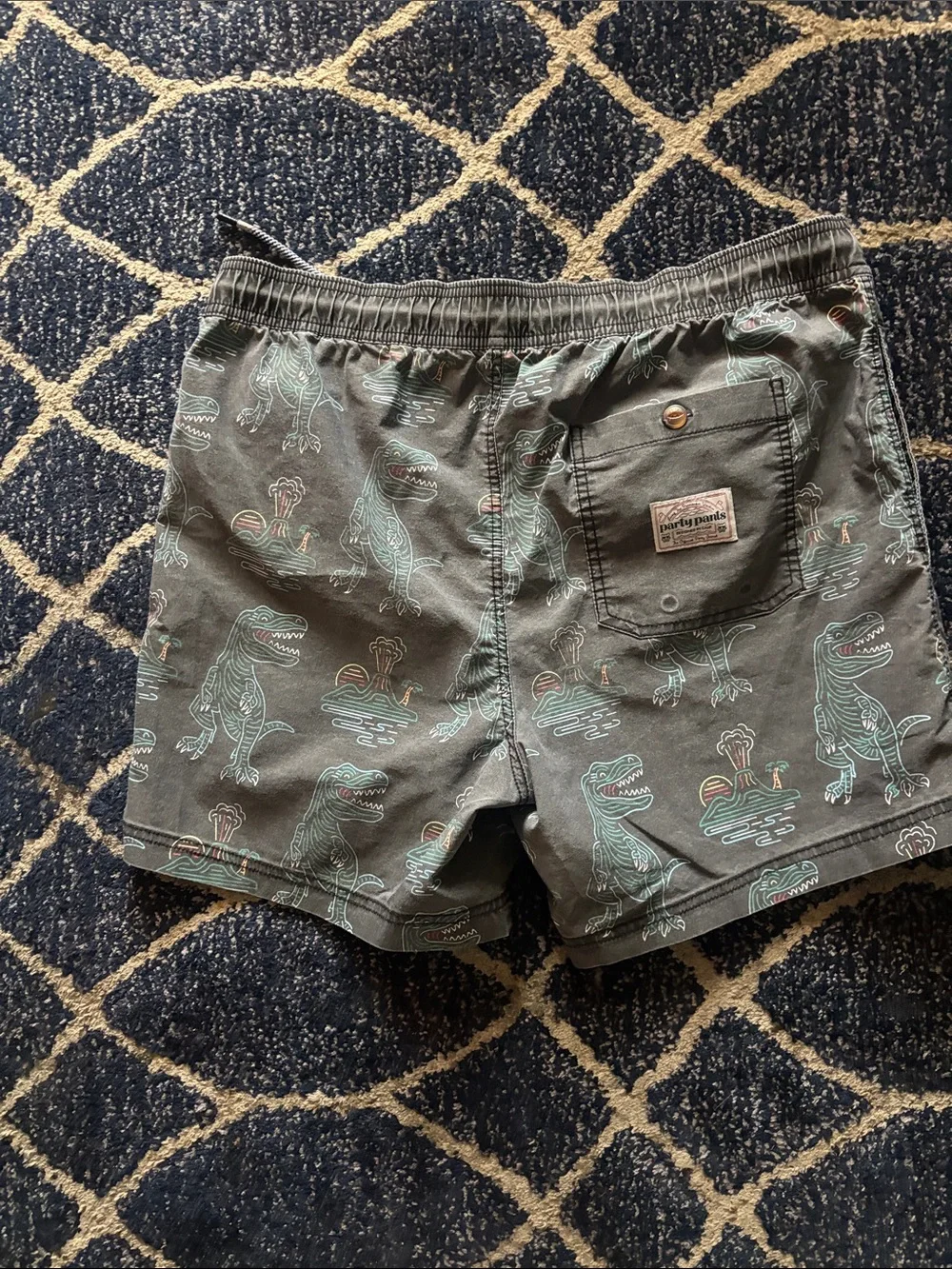 Men's Gray Swim Trunks with Mint Dino Print